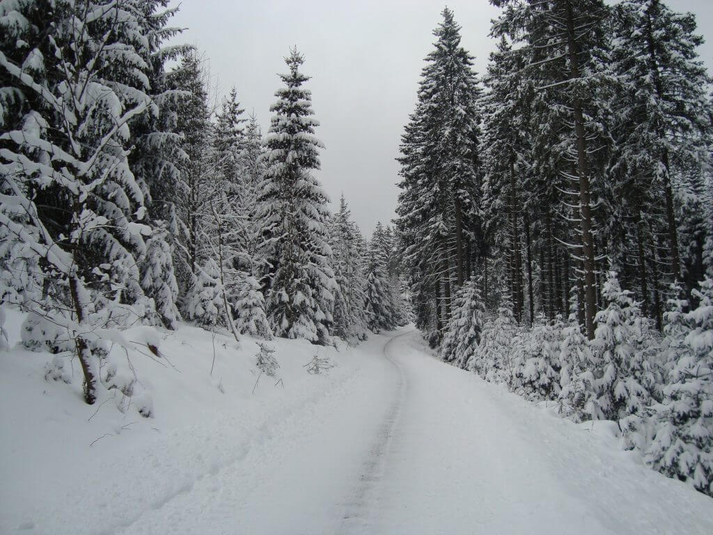 Langlaufen Winterberg Duitsland