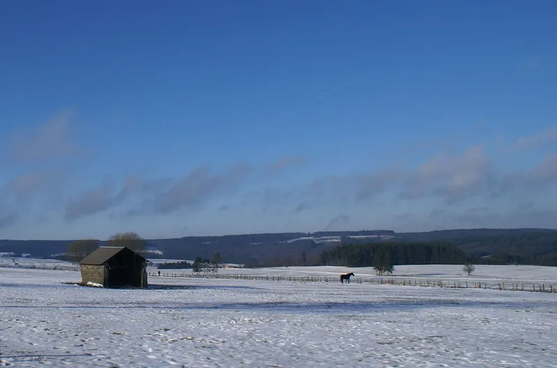 Winter in de Ardennen