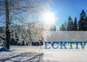 Sneeuwschoen Groepswandel Vakantie Steiermark