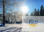 Sneeuwschoen en wandelvakantie Stanzach