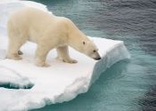 winterwandelen Groepsrondreis Spitsbergen
