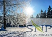 Kuusamo Sneeuwwandelen in Finse nationale parken