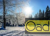 wintersfeer in zwitserland per trein en bus